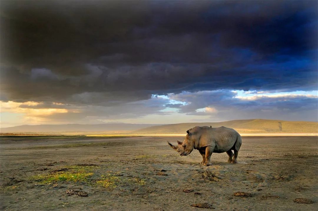 lonelyplanet旅行,lonelyplanet东欧