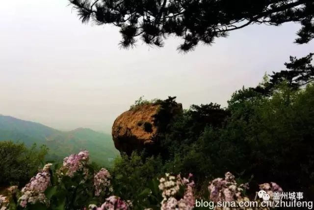 青龙山景区风景,青龙山的美景
