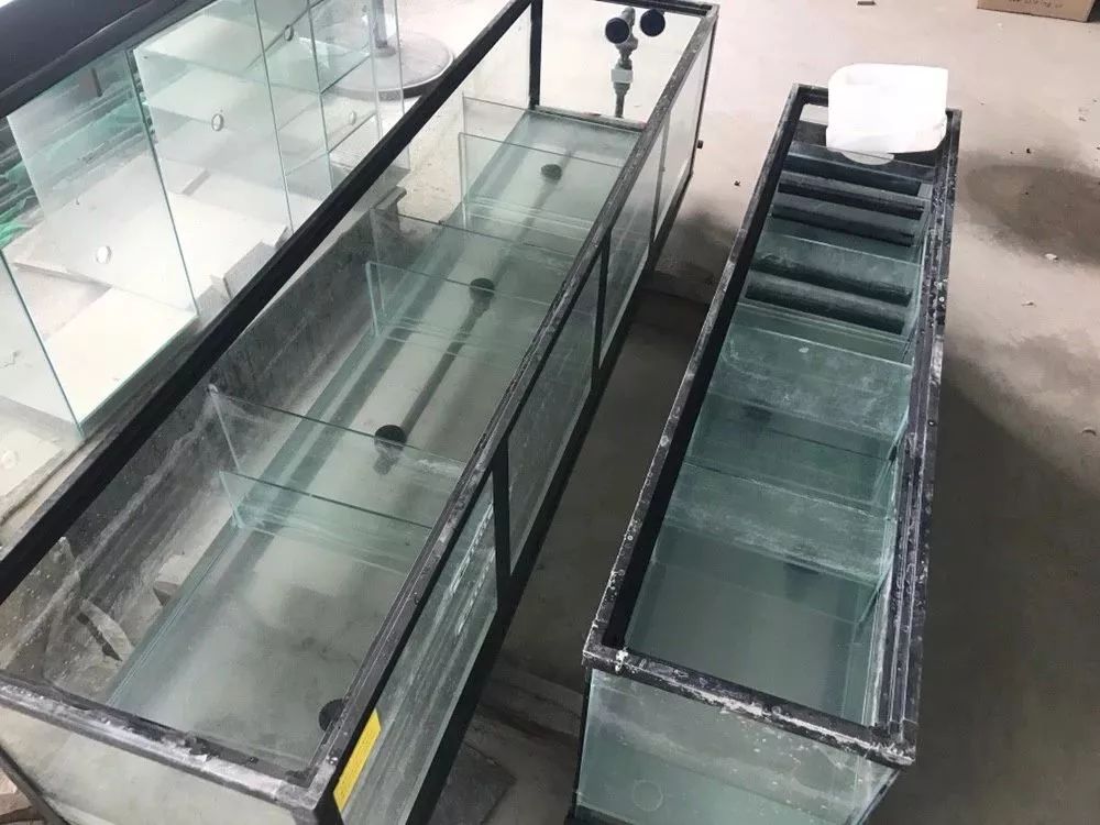 鱼缸生产制造过程,探秘jellycat工厂