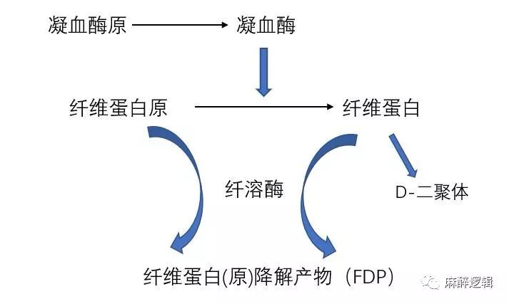 硬核区分原发性纤溶亢进与继发性纤溶亢进