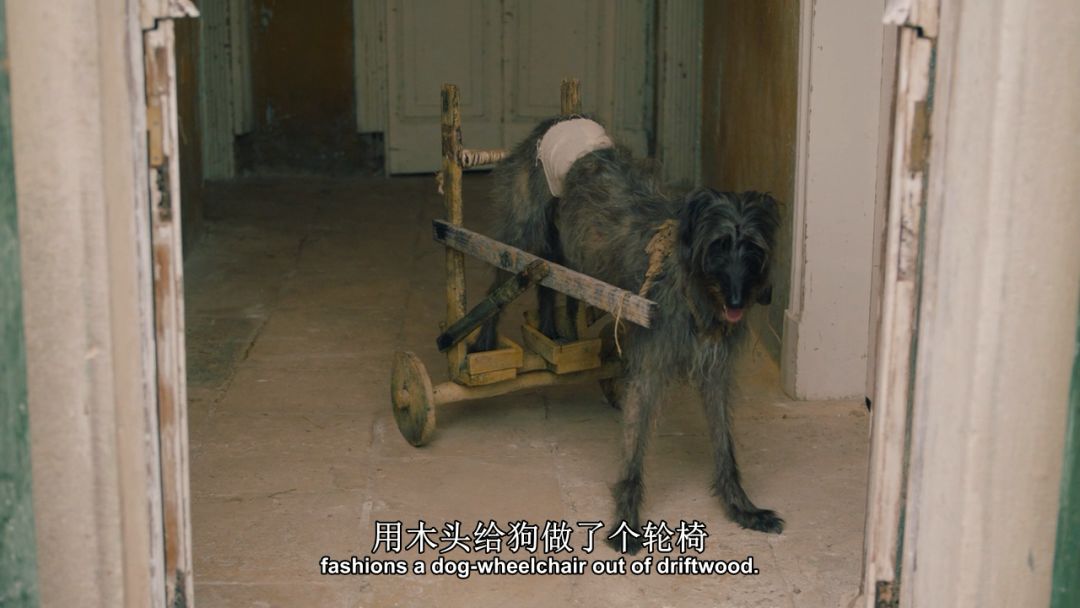 豆瓣9.8,1个寡妇带4个熊孩子,为啥都过得比我爽?