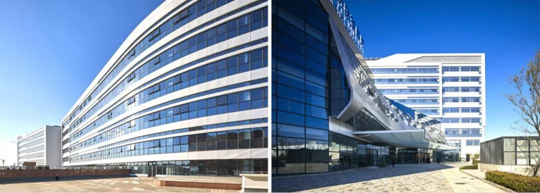 国际肿瘤治疗理念,设计新型肿瘤治疗方案