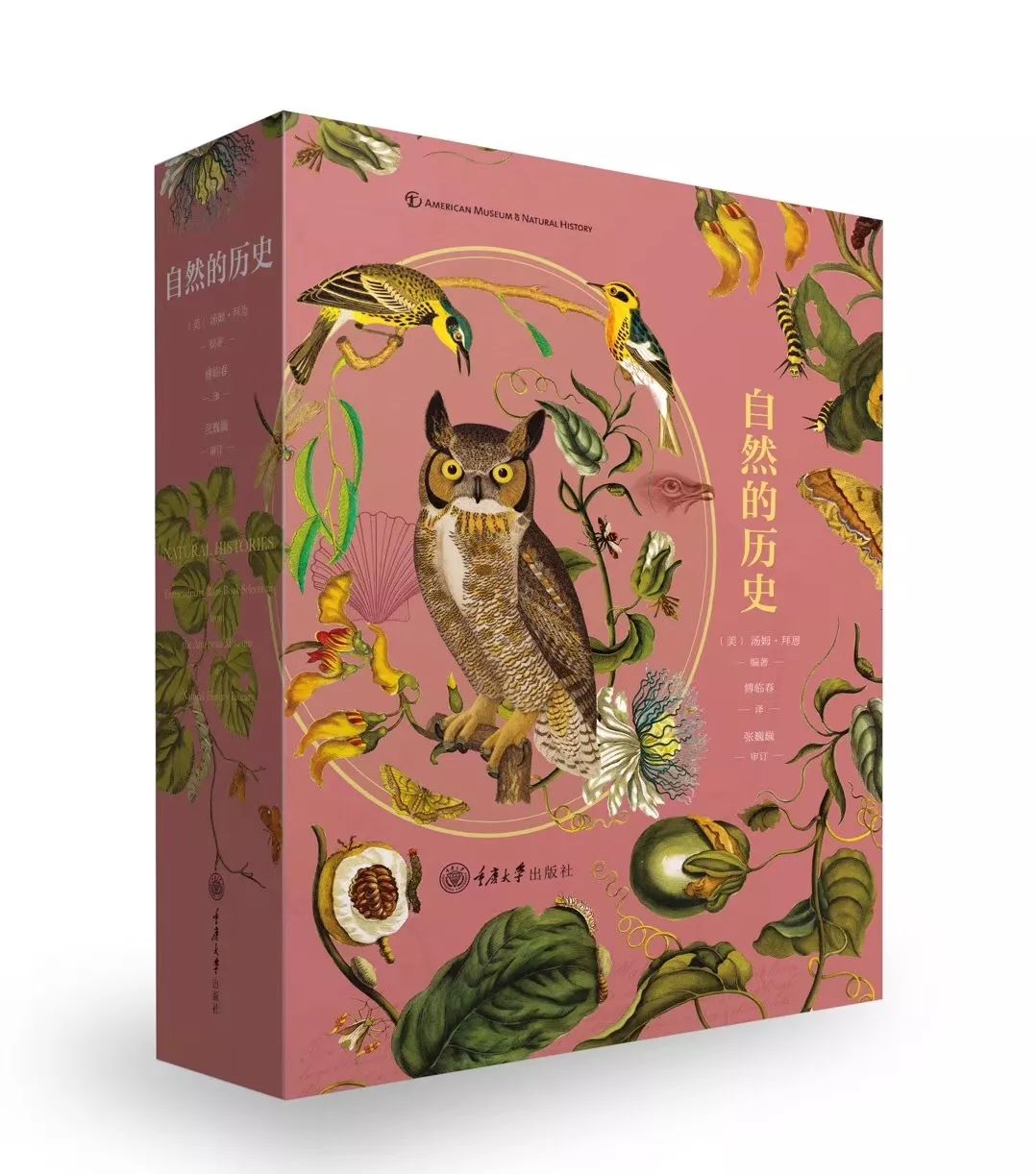 博物学经典书,这十本书值得孩子看