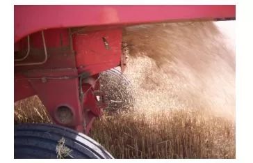 雷沃小麦收割机维修小技巧,开轮式小麦收割机注意事项