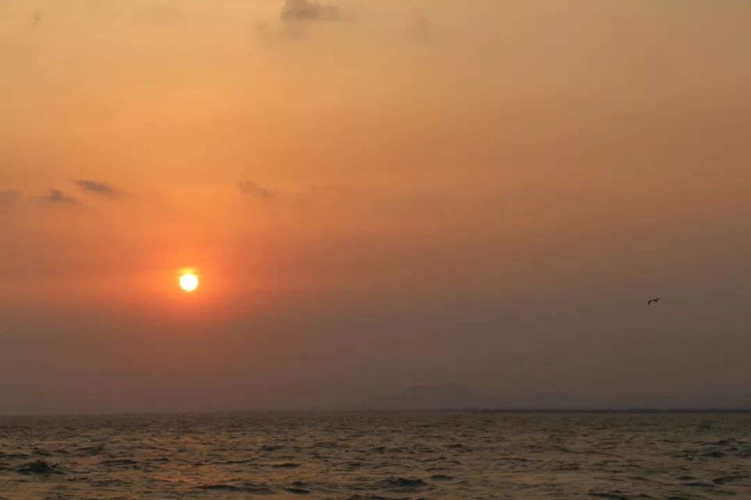 夏天哪个海岛最凉快,高温天气适合去哪旅游