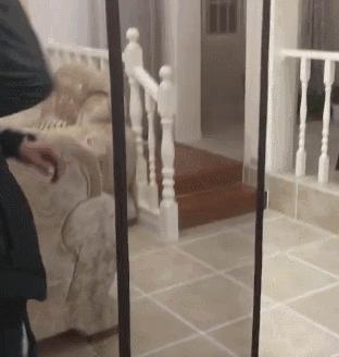 防蚊帘下面容易开,防蚊闭合帘