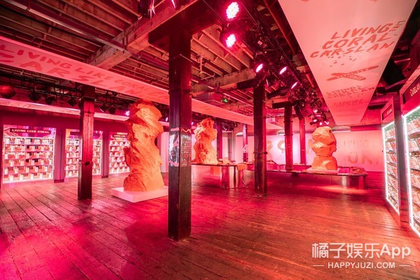 卡姿兰红唇唇膏,卡姿兰胶原美芯唇膏烈火燃红