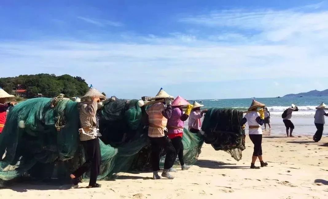 渔家女朋友圈直播,渔家女海鲜直播