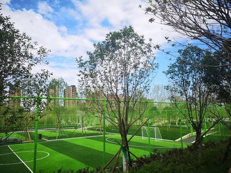 西安周边休闲美景,近期西安开放的景点