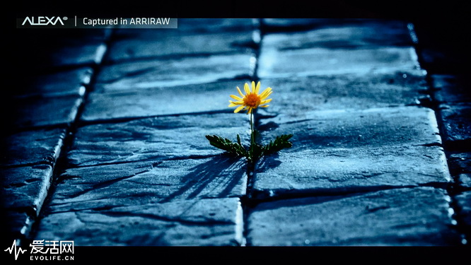 鏉句笅鐢佃th-75hx800c瀵规瘮璇勬祴,鏉句笅鐢佃th-65gx