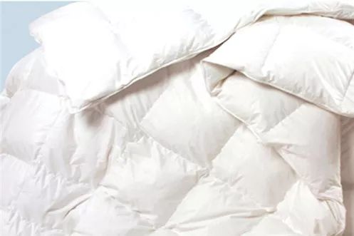 寻香|还原派VS颠覆派？诶呦~想不到这花还有两副面孔！（上）