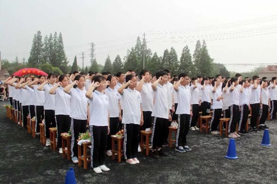 附新北各学校施教区一览表|一场“亲密接触”，发生在五所新北中小学内...