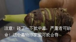 特大诈骗真相揭秘,特大原石骗局揭秘