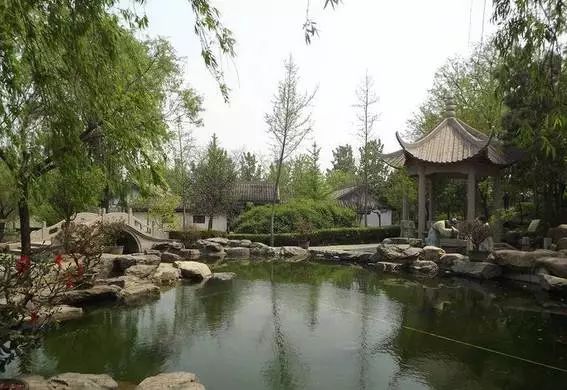 20个小众旅游城市河北沧州,漫游燕赵公园