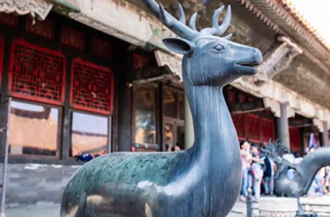 这才是国潮t恤,这款国潮风刺绣t恤你准备了吗