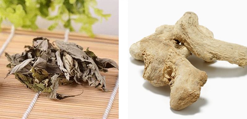 从黑皮逆袭到白皮,从黑皮逆袭到白皮多少瓶精华