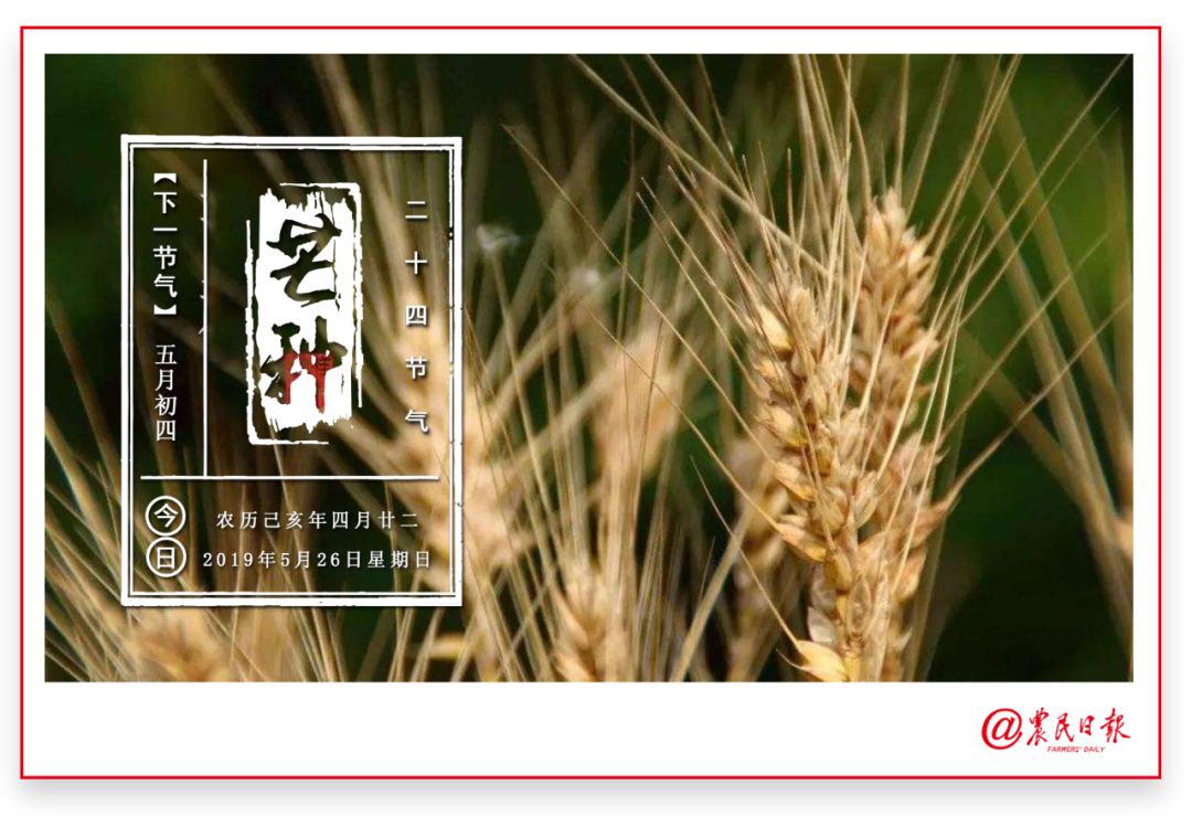 怎么治孩子的懒病,治懒病的最佳搞笑方法