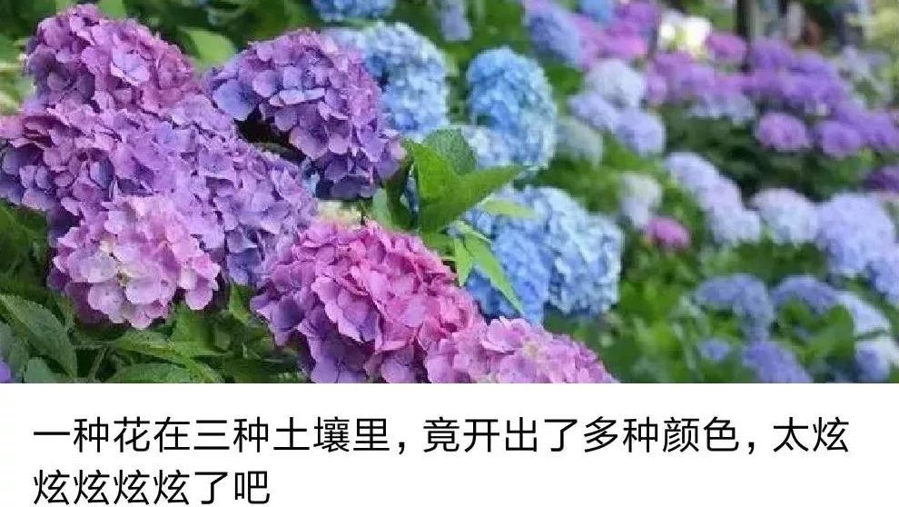 优惠活动喜迎六一赢好礼,六一特惠福利