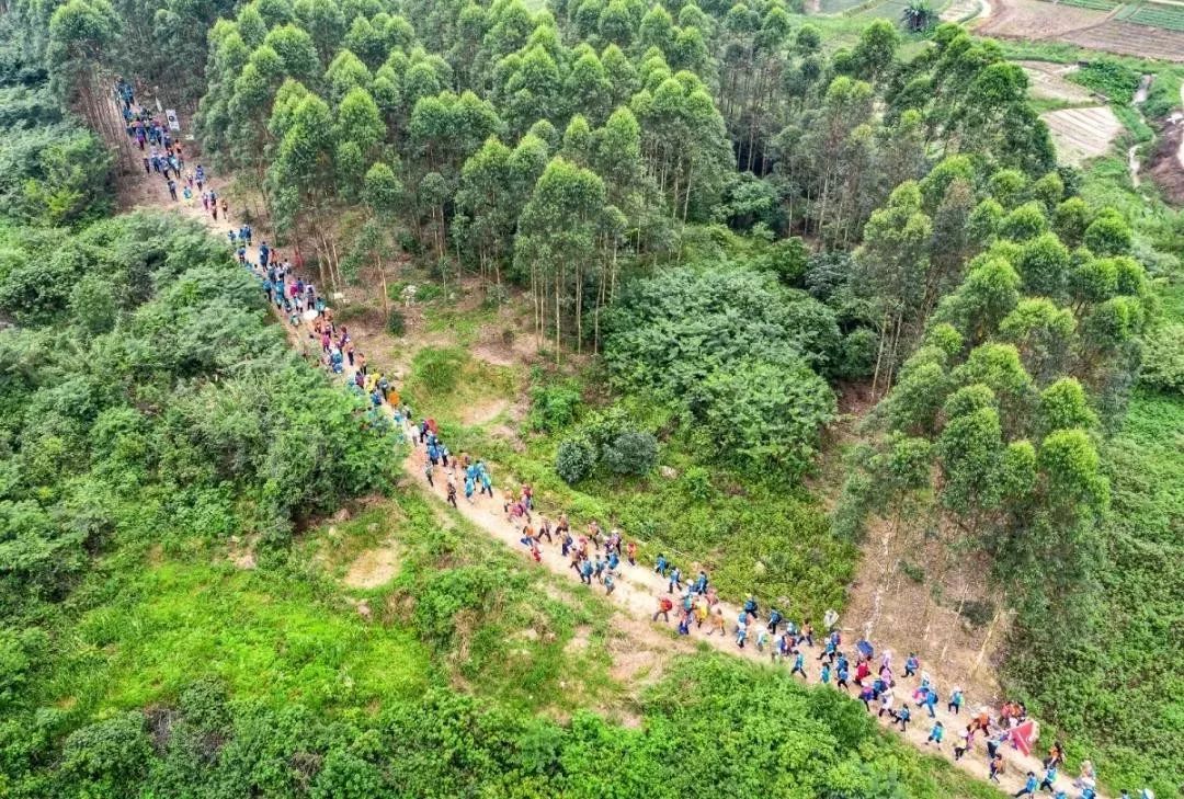 体彩公益金,体彩公益金活动方案