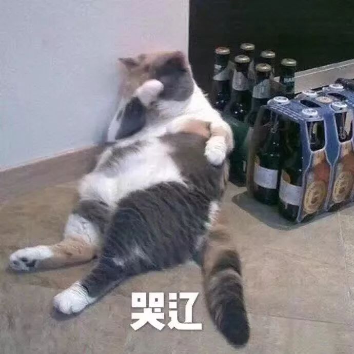 青岛五一旅游人数最新,青岛五一游客量暴涨