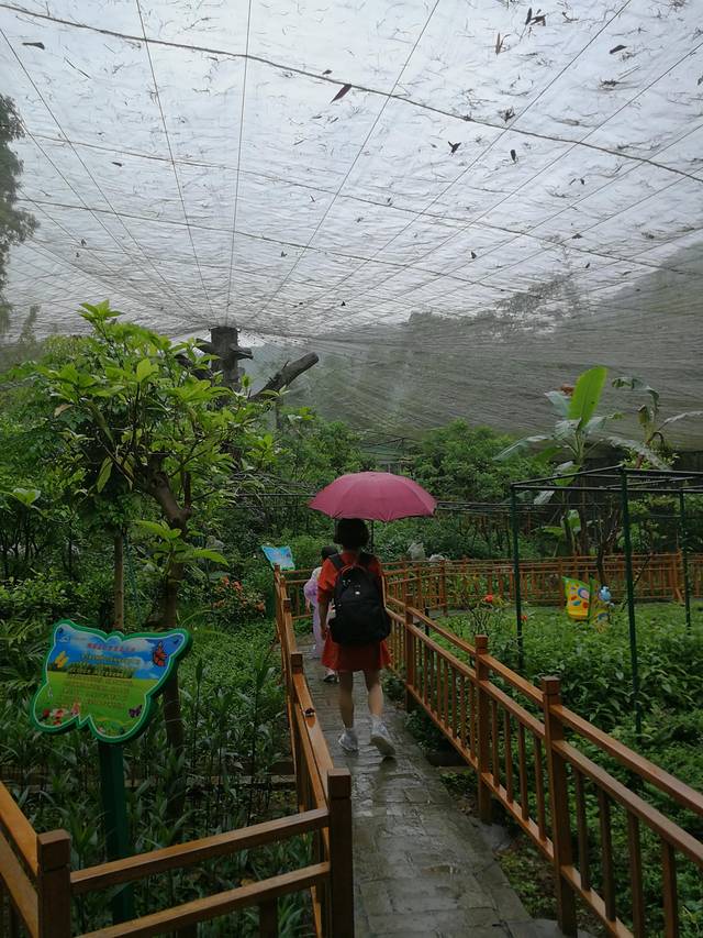 肇庆七星岩鼎湖山自助游,肇庆鼎湖山和七星岩相距多远