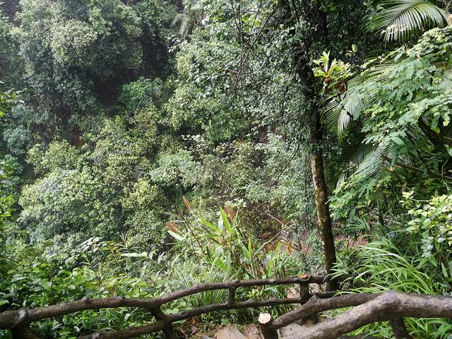 肇庆七星岩鼎湖山自助游,肇庆鼎湖山和七星岩相距多远