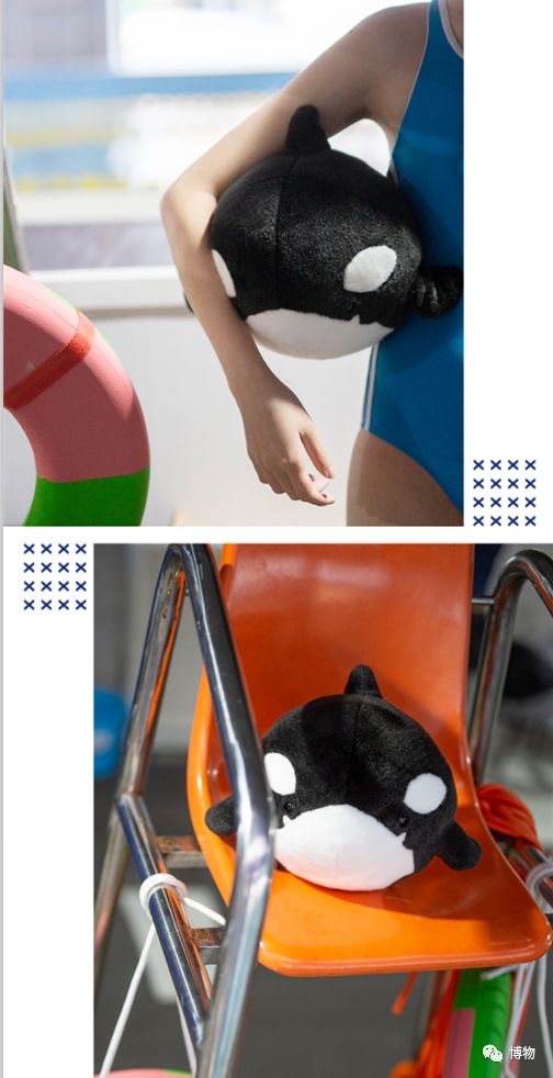 “圆宝”那么可爱,怎么能不盘它呢!