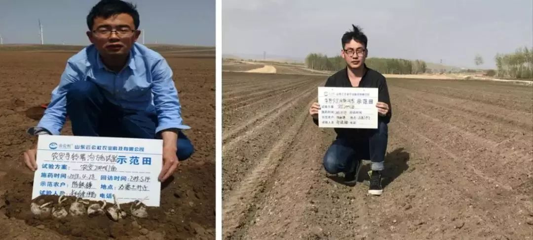 绿野杀菌剂,绿野农安