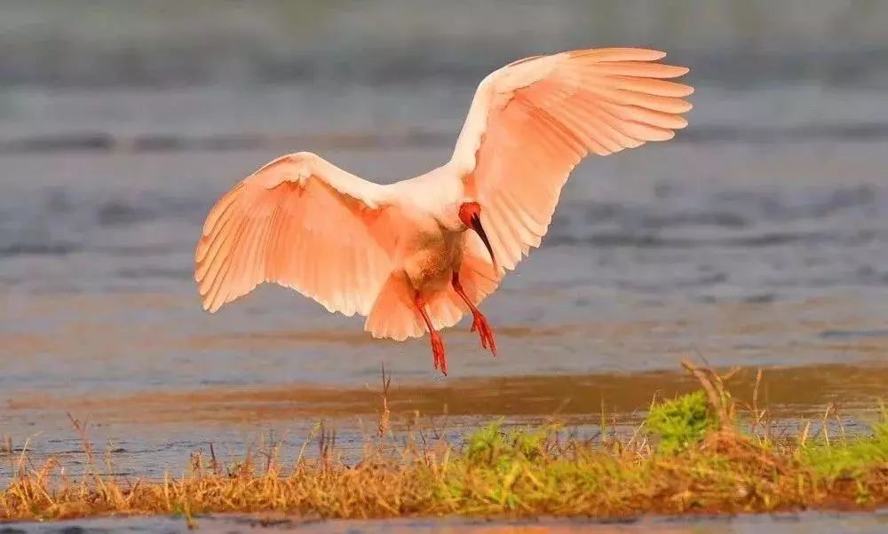 陕西最美县域,陕西最美的十大县