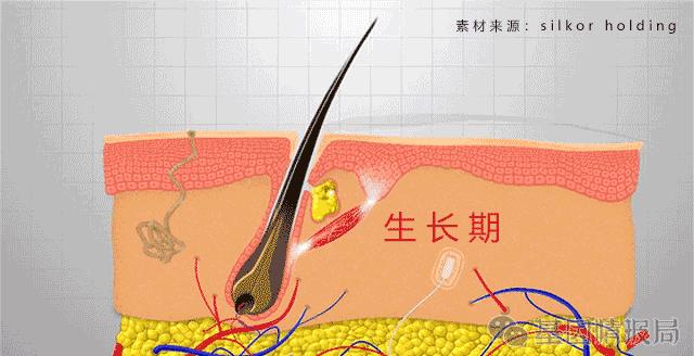 漫画科普：求求你别再脱了，我快看不下去了！