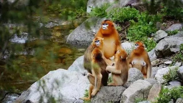 陕西最美县域,陕西最美的十大县