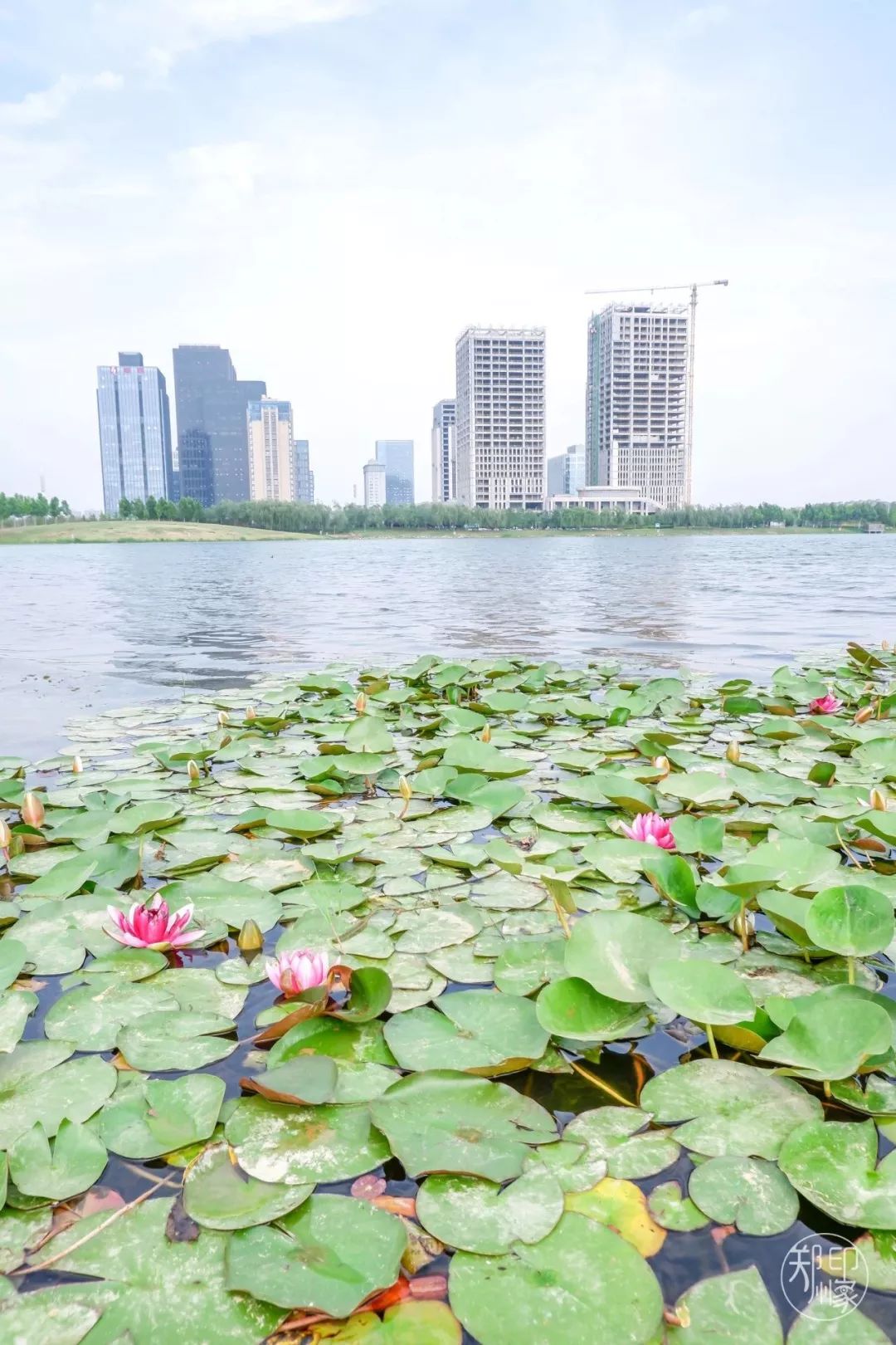 龙子湖沙滩游乐场在什么位置,蚌埠龙子湖网红沙滩多少钱