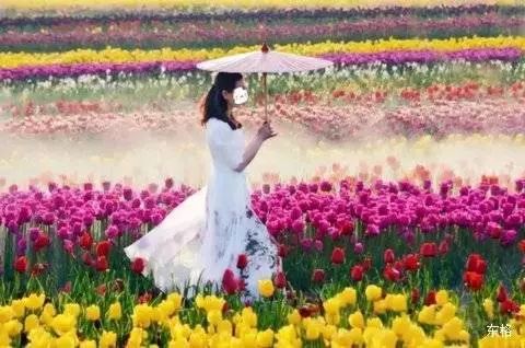 泰国泼水节狂欢六日游,泰国乐园泼水节