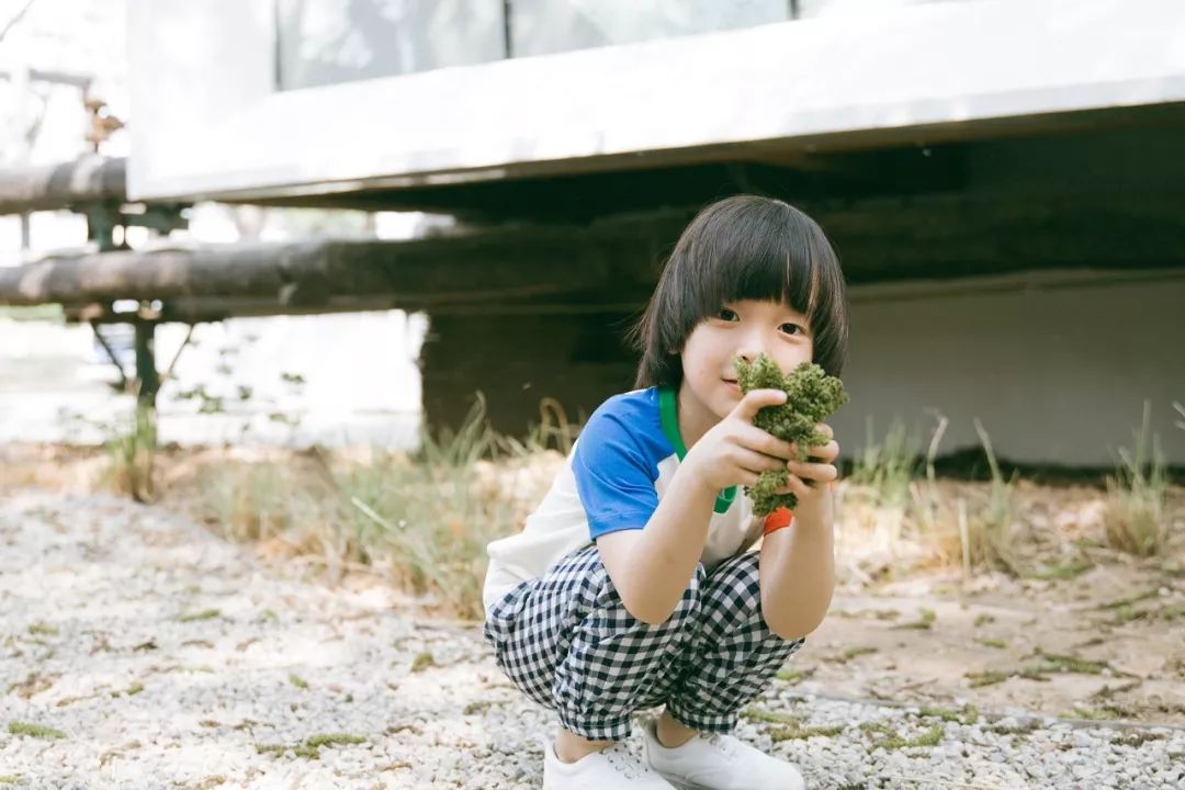 宝宝夏季必备薄款防蚊裤,儿童夏季防蚊裤怎么选