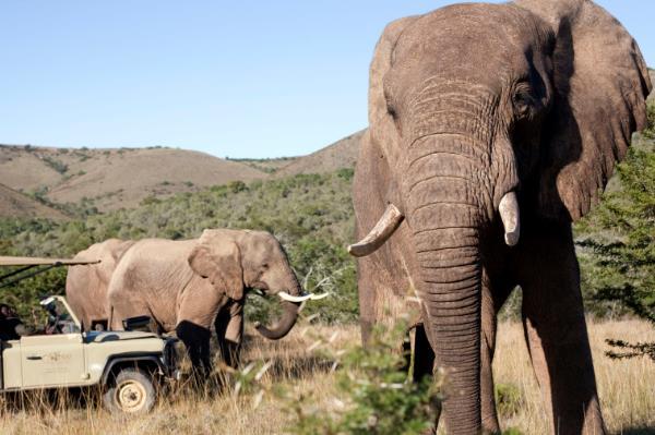 品读｜透视“黑石号”，湘非千年情未了