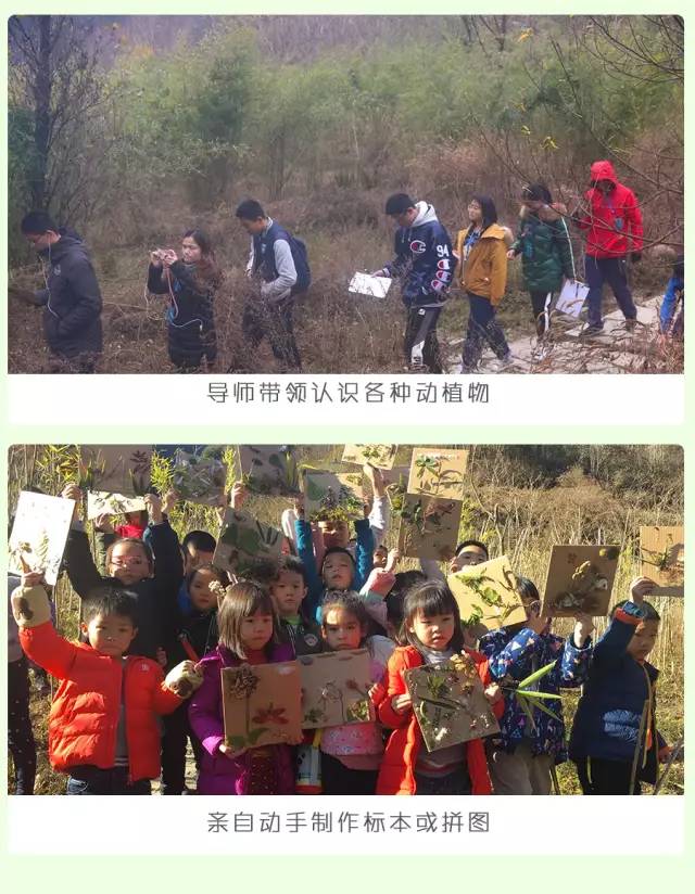 都江堰熊猫谷铲屎官报名,成都大熊猫铲屎官志愿者活动