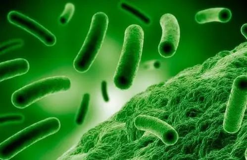 蚊虫叮咬快速止痒的中医方法,超好用的止痒消肿的药膏蚊虫叮咬