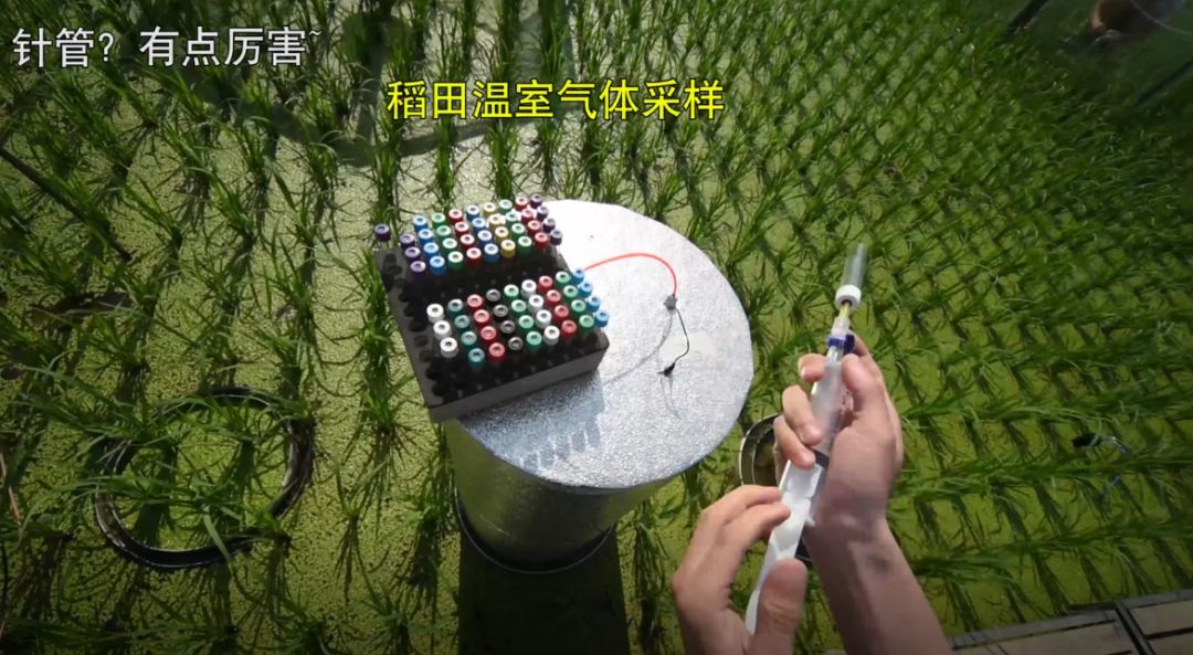 汛期天气最新,讲真雨薇老师视频剪辑