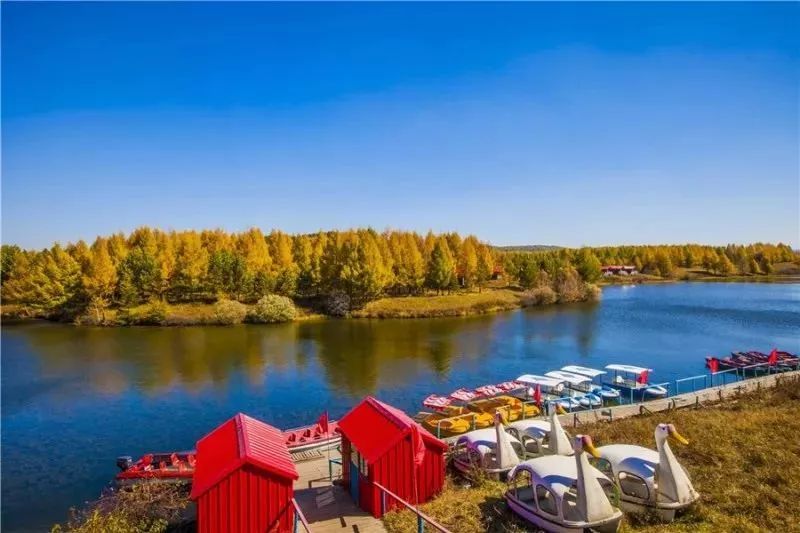 塞罕坝文旅班列,就定