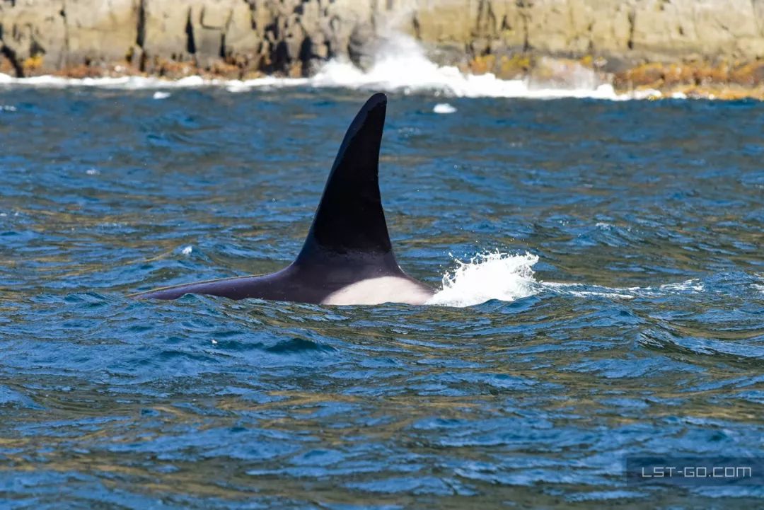 这些海岛人少景美不输马代,马尔代夫一价全包亲子游岛屿推荐
