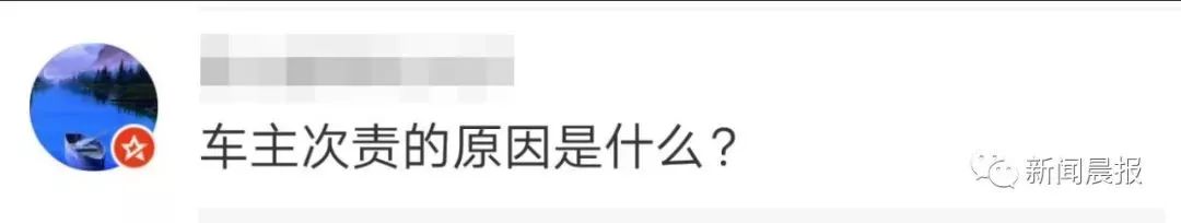 女子开车撞狗怎么判,女子驾车撞狗被判主责