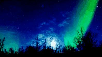 温州出现奇观,奇观浙江惊现漫天飞鱼