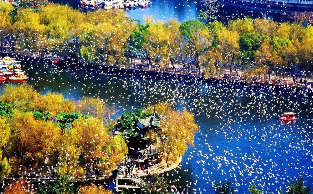 城味|翠湖：蕴含文化的“眼睛”更灵动