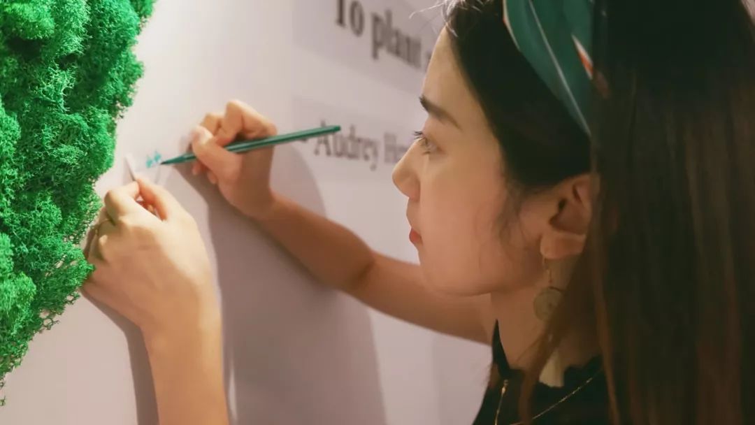 在西湖边种下一片“草原”！杭州这家肯德基“绿”了！种草指南在这里