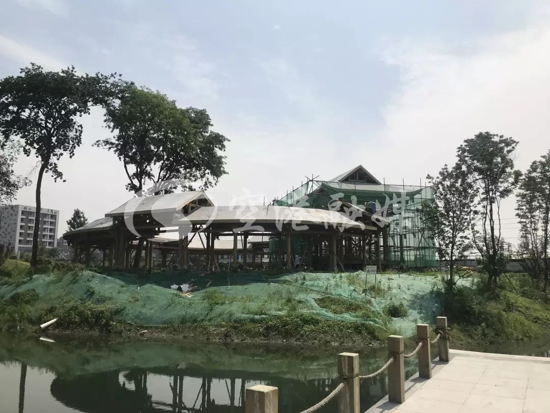 双流红枫海在哪,红枫湖风景区开放时间最新消息