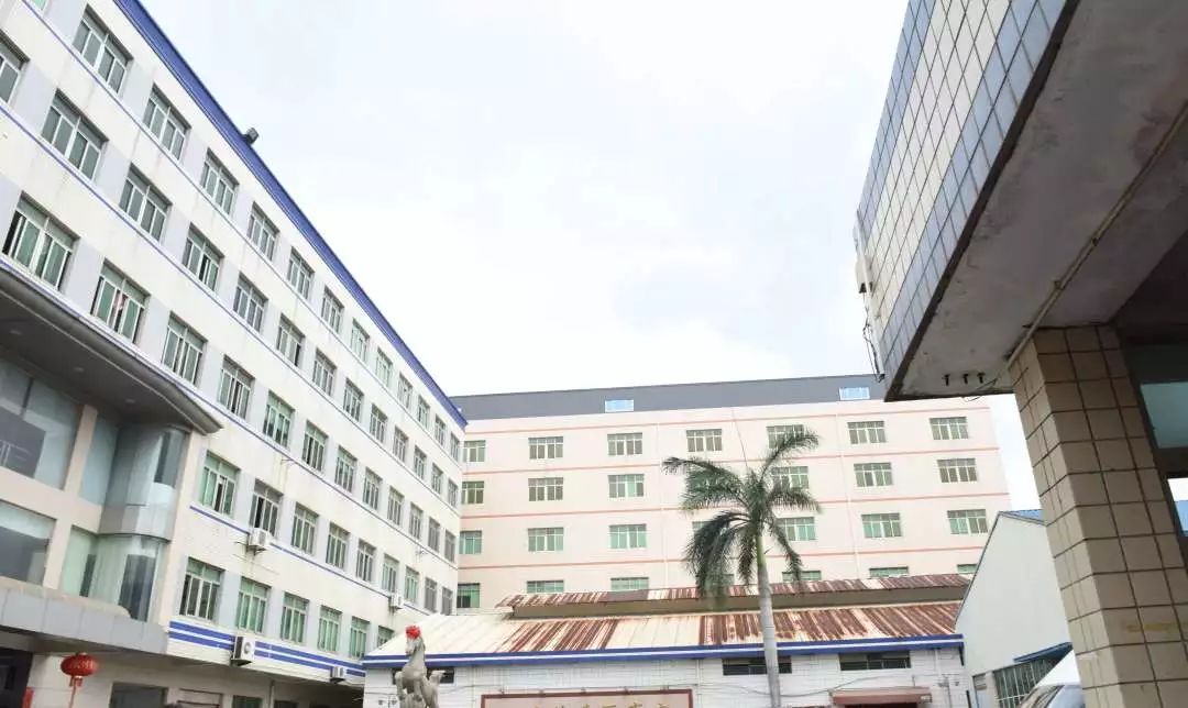 两级法院集中开展雷霆行动,法院推进夏季攻势