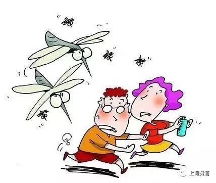 o型血的人喝了酒更容易招蚊子吗,爱吃甜食比较招蚊子