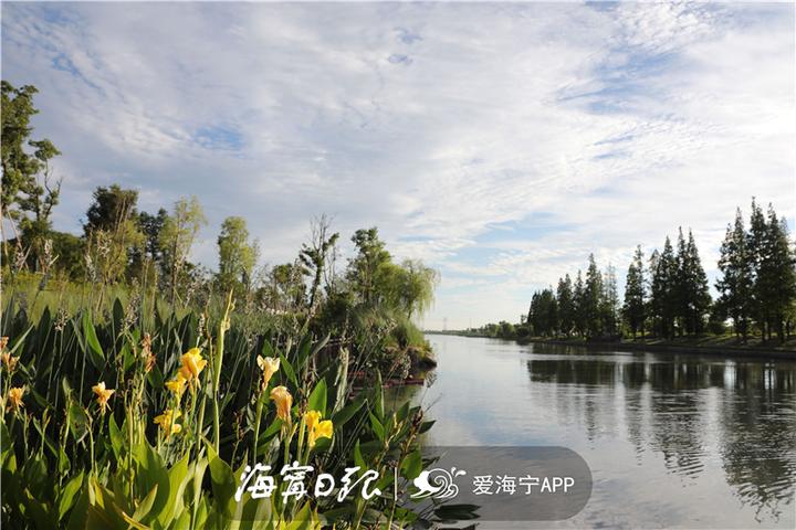 海宁漂亮吗,海宁好看的风景