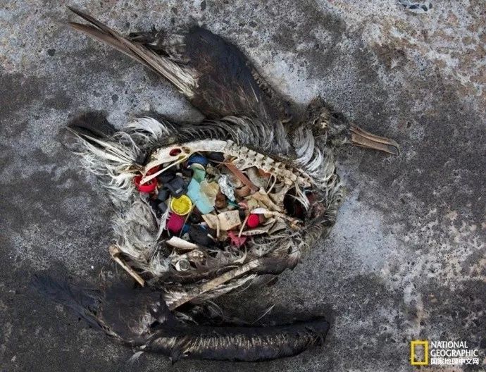 最奇葩的冰棍,吃最脏的冰棍