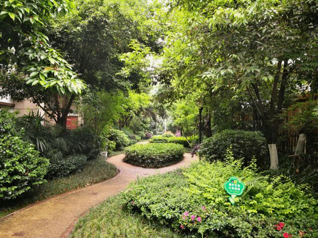 高品质旅游成都青城山,强烈推荐旅游成都青城山